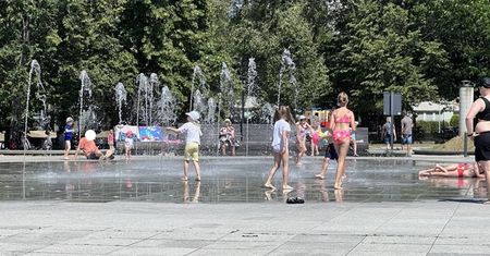 Zdjęcie z parku Warszawie. Mamy komentarz z urzędu