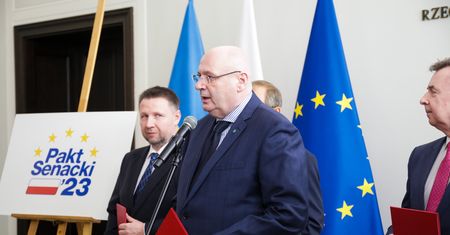 Wybory do Senatu. Tyle okręgów ma dostać PSL, polityk ujawnia