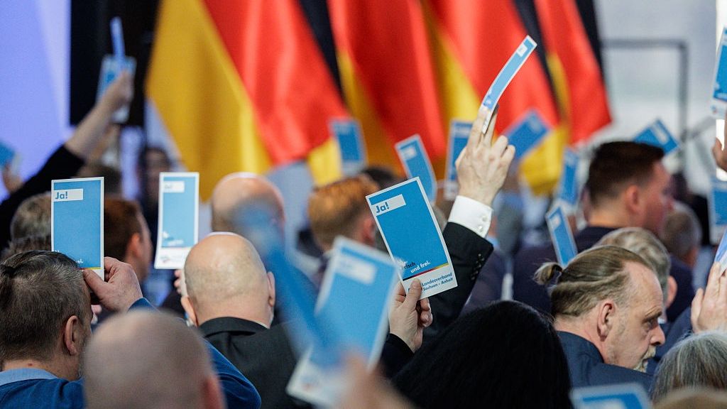 pora-ka-afd-w-meklemburgii-pomorzu-przednim-przegrali-wybory