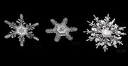 Idealne kształty płatków śniegu. Amerykanin pokazuje je wszystkie