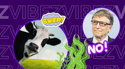 Bill Gates ma dość bekania krów. Wsparł rewolucyjny start-up