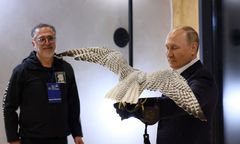 Putin pozuje z sokołem i zapowiada "pomoc" Ukraińcom. "Nasz obowiązek"