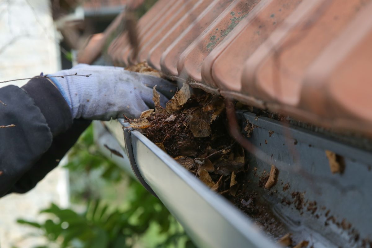 Cleaning the gutters will allow water to drain freely.