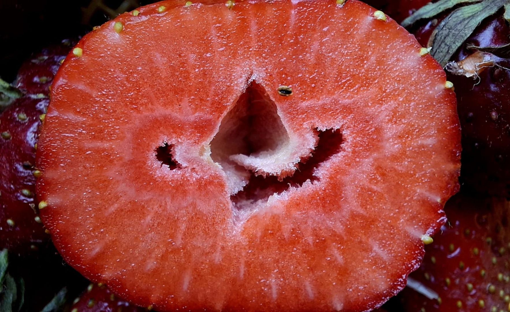 Truskawki