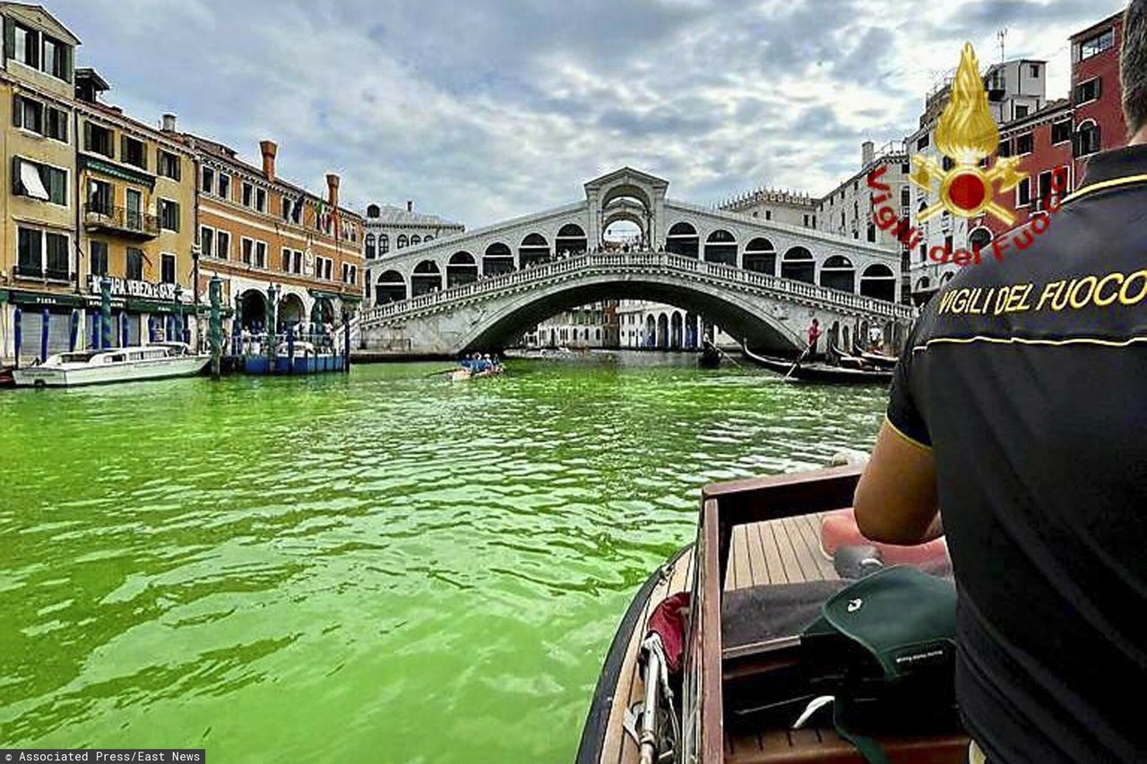 Wenecja pozieleniała. Tajemnicza plama w Canal Grande