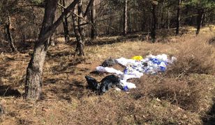 Leśniczy w szoku. Niebezpieczne znalezisko w Poznaniu