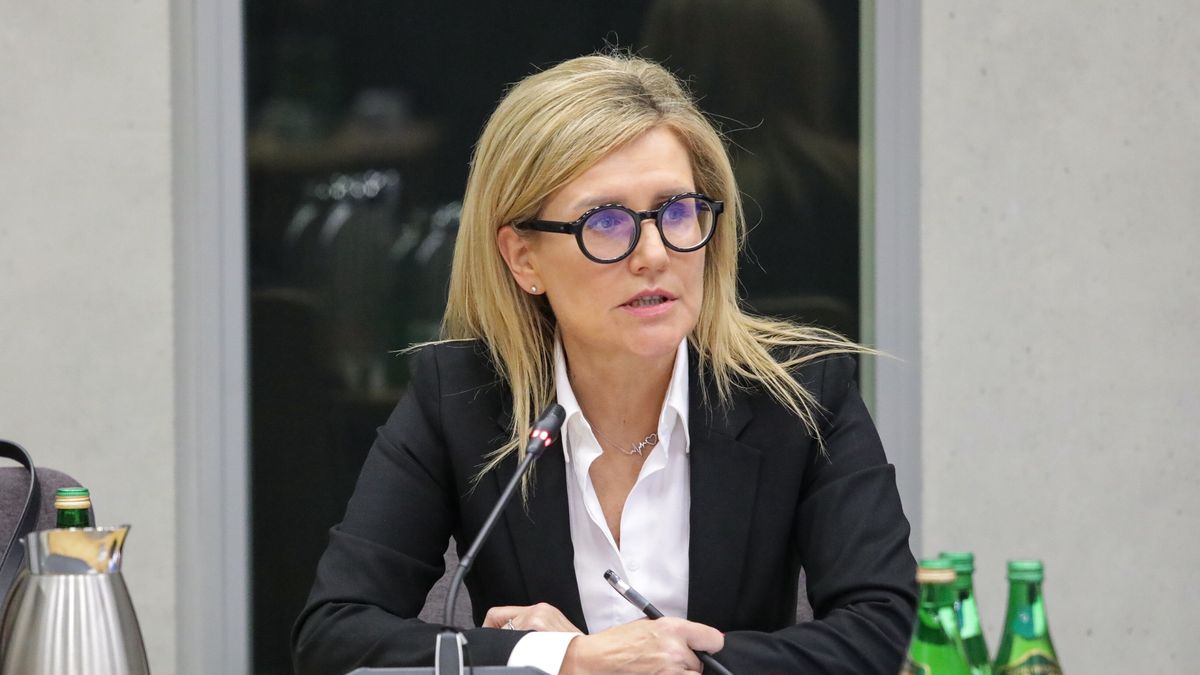 Ewa Wrzosek
Tomasz Gzell
Inwigilacja, Pegasus, Sejm, 10 10. X, kadencja, kadencji, komisja, polityk, polityka, poszkodowana, przes�uchanie, sejmowa, portret