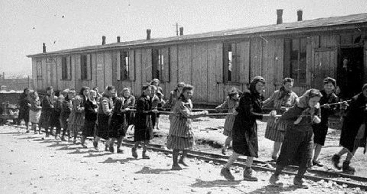 Dzieci z Plaszowa trafiły do Auschwitz. Prawda o akcji SS