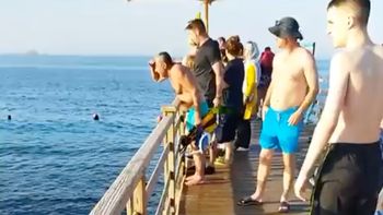 Turystki zaatakowane przez rekina. Hotel ma zapłacić za ich śmierć w Egipcie