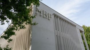 Piwonie, malwy i irysy. Konińska biblioteka ma nietypową prośbę