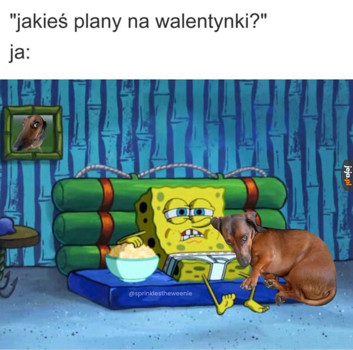 Walentynki - memy