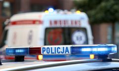 Makabryczny wypadek pod Łaskiem. Motocyklista zginął po zderzeniu z koniem