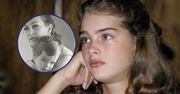 "Najpiękniejsze dziecko świata". Brooke Shields miała 11 lat, gdy zagrała prostytutkę