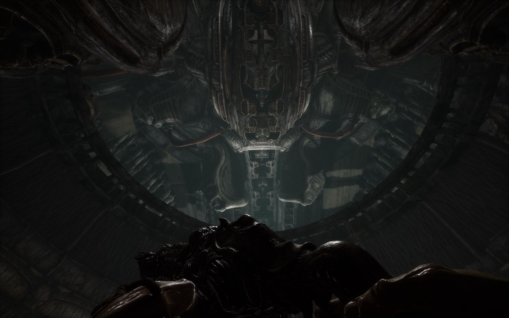 Scorn