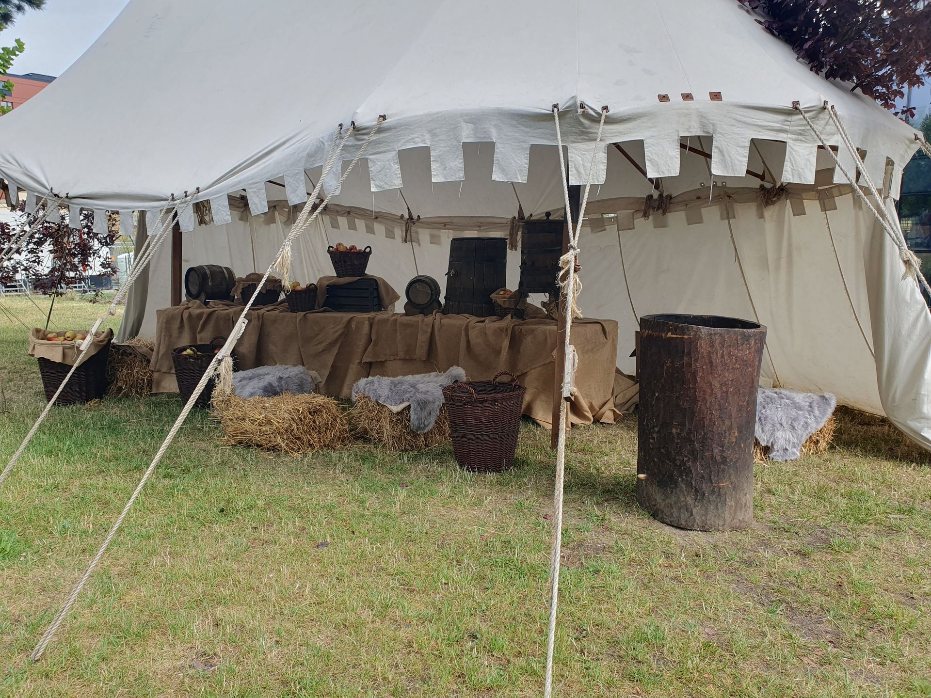 Wiedźmin Fest
