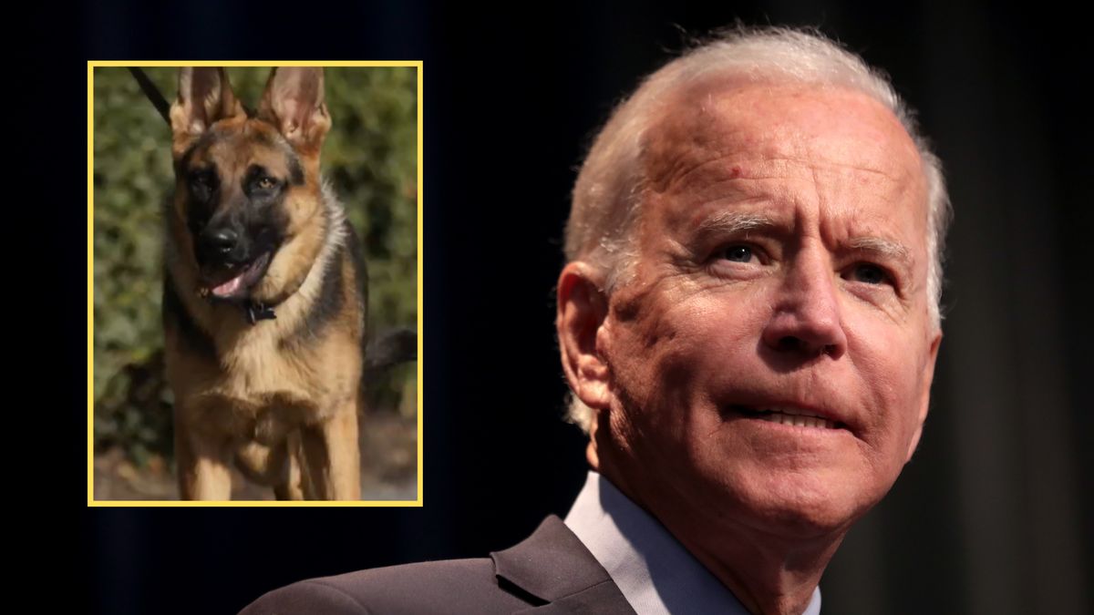 Biały Dom ma nie lada problem z prezydenckim psem