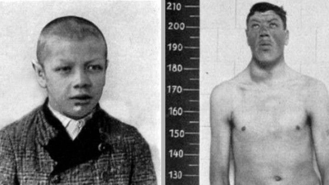 Adam Rainer