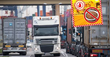 Szkodniki w nasionach z Ukrainy. Służby zatrzymały kilkadziesiąt ton