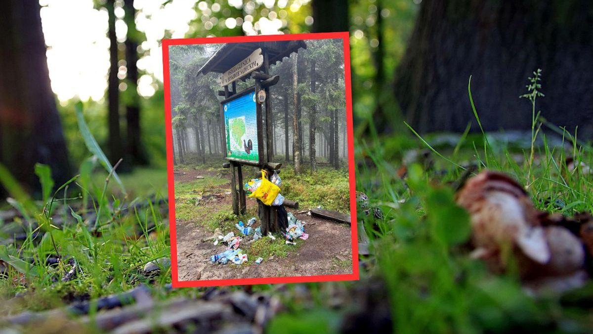 Śmieci w Beskidach. Leśnicy pokazali smutną prawdę