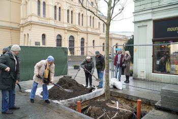 Łódź: Akcja na ul. Piotrkowskiej. Mieszkańcy sadzili platany