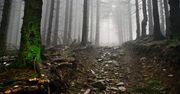Beskidy: Trudne warunki na szlakach turystycznych. Warunki pogodowe są zmienne