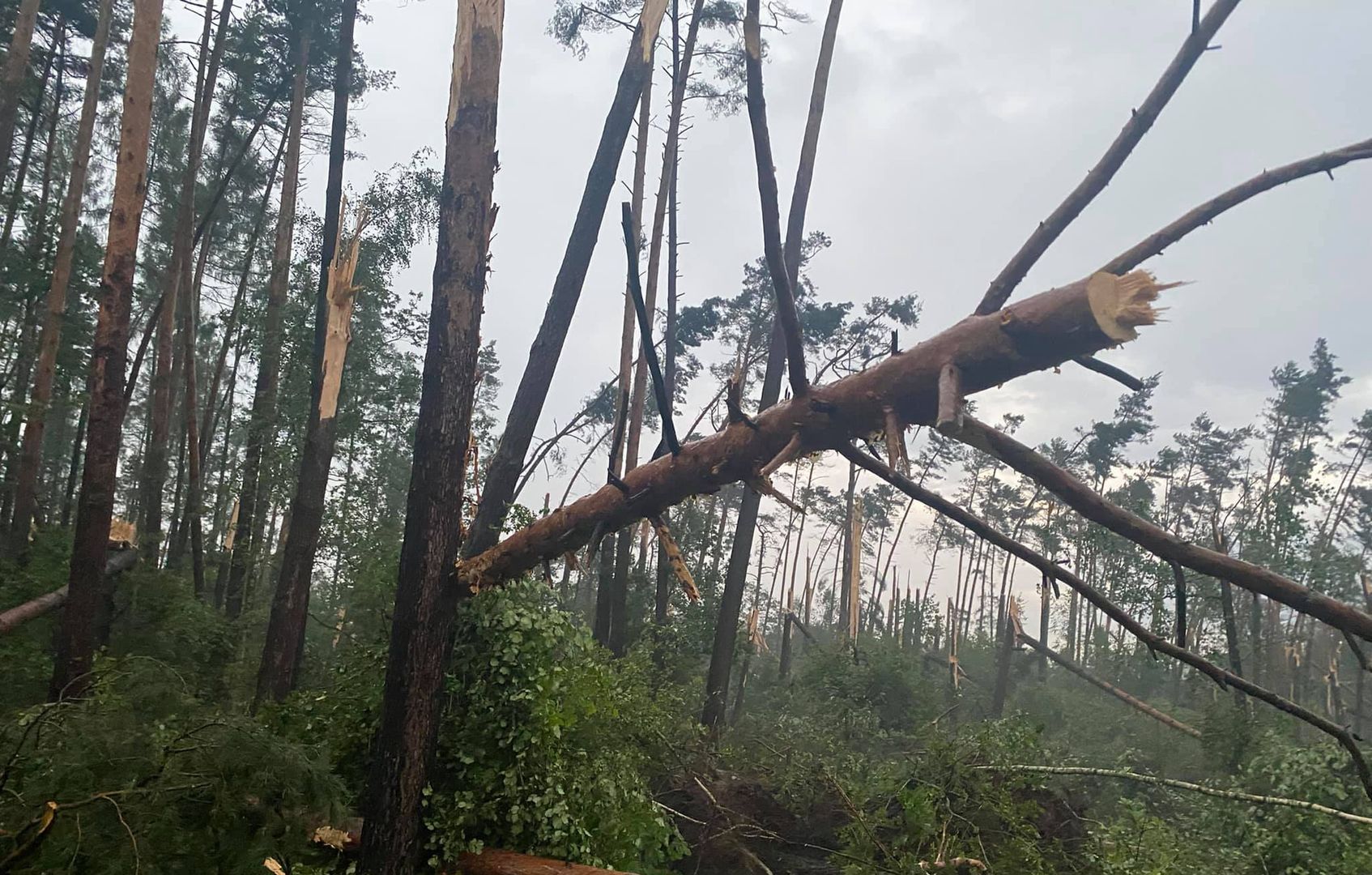 Groźne zjawiska zaatakują Polskę?! Taki ma być lipiec. Prognoza pogody