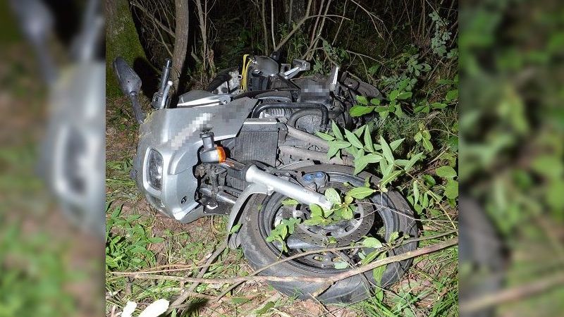 Motocyklista zderzył się z łosiem