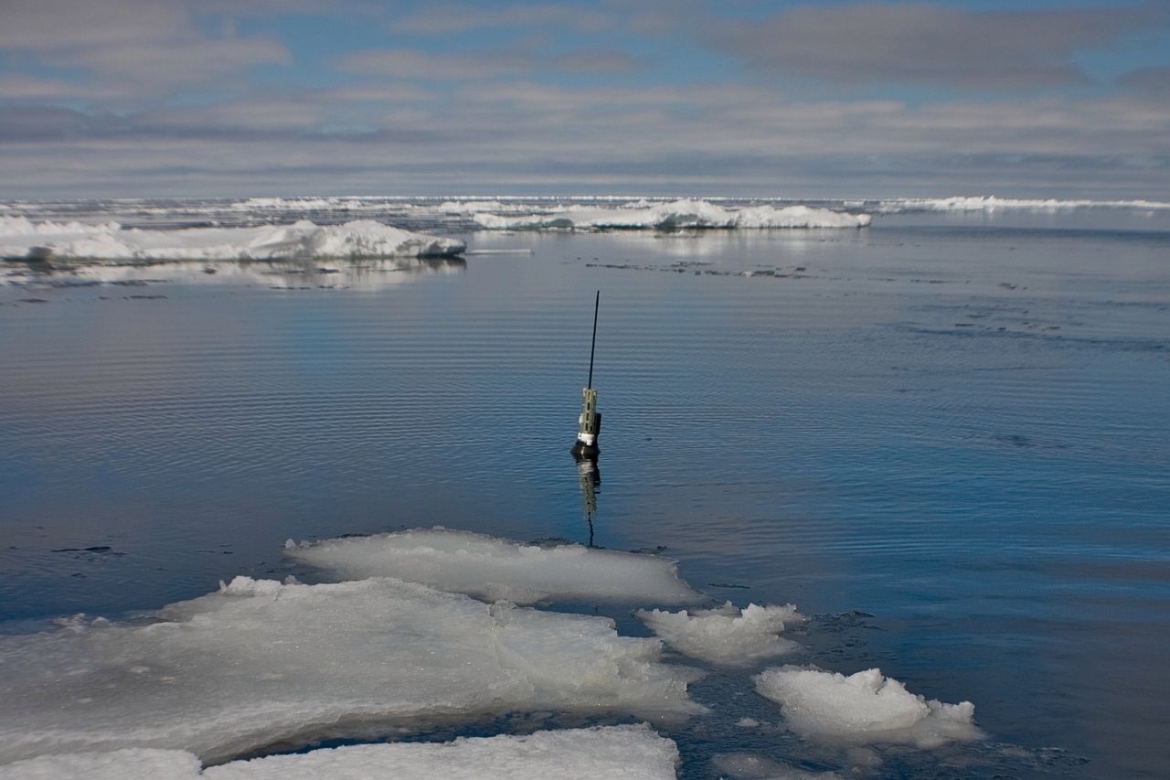 Czujnik ARGO w Arktyce (fot. Scripps Lab ARGO)