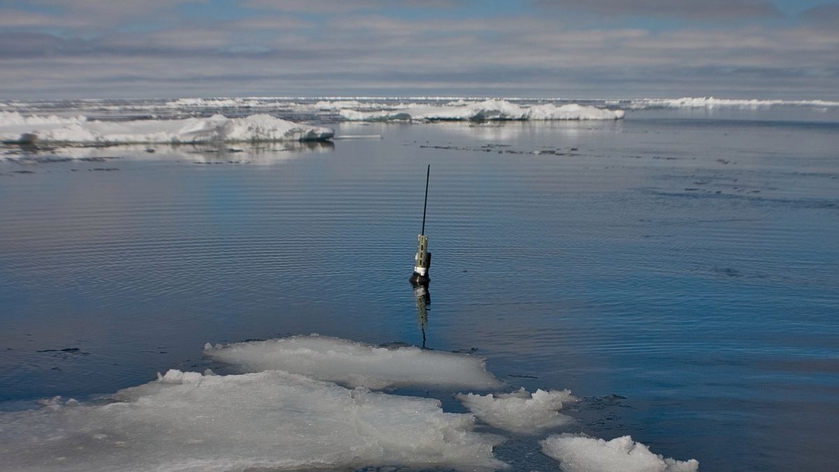 Oceany ocieplają się już od ponad 130 lat - czy człowiek miał na to wpływ? 1
