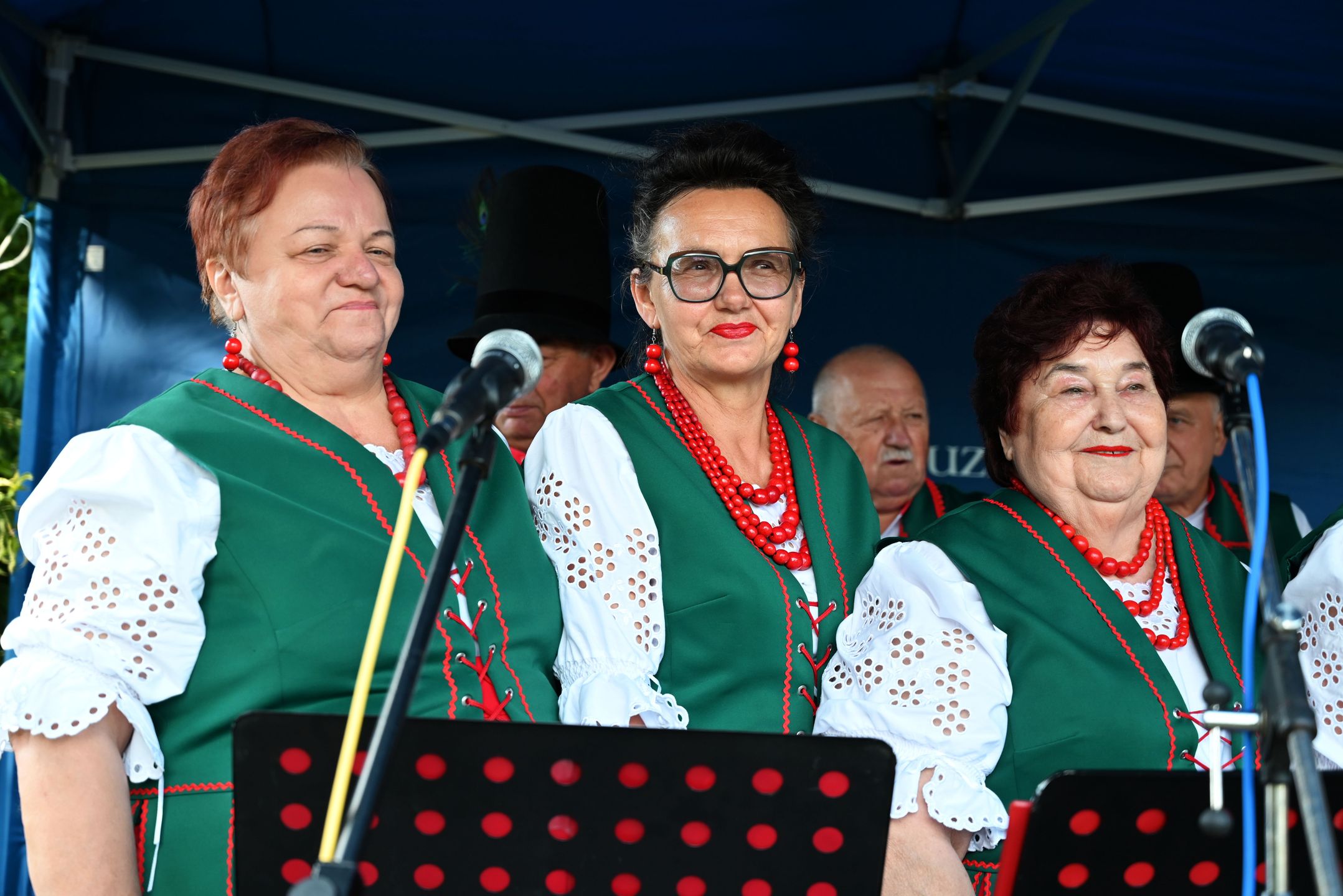 Organizatorem pikniku było Muzeum Ziemi Dobrzyńskiej