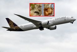 Karaluch w posiłku? Pokazał zdjęcie z samolotu