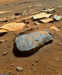 Przełomowe odkrycie na Marsie. Sensację przesłał Perseverance
