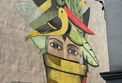 Katowice. O zrównoważonym rozwoju na kamienicy