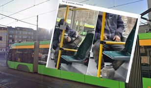 Ukradł urnę z cmentarza. Rozsypał prochy w tramwaju