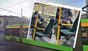 Ukradł urnę z cmentarza. Rozsypał prochy w tramwaju