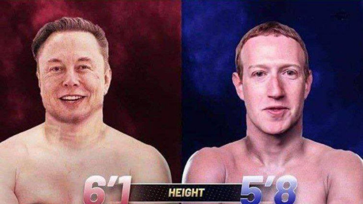 Musk jest gotów na transmisje walki  w klatce z Zuckenbergiem