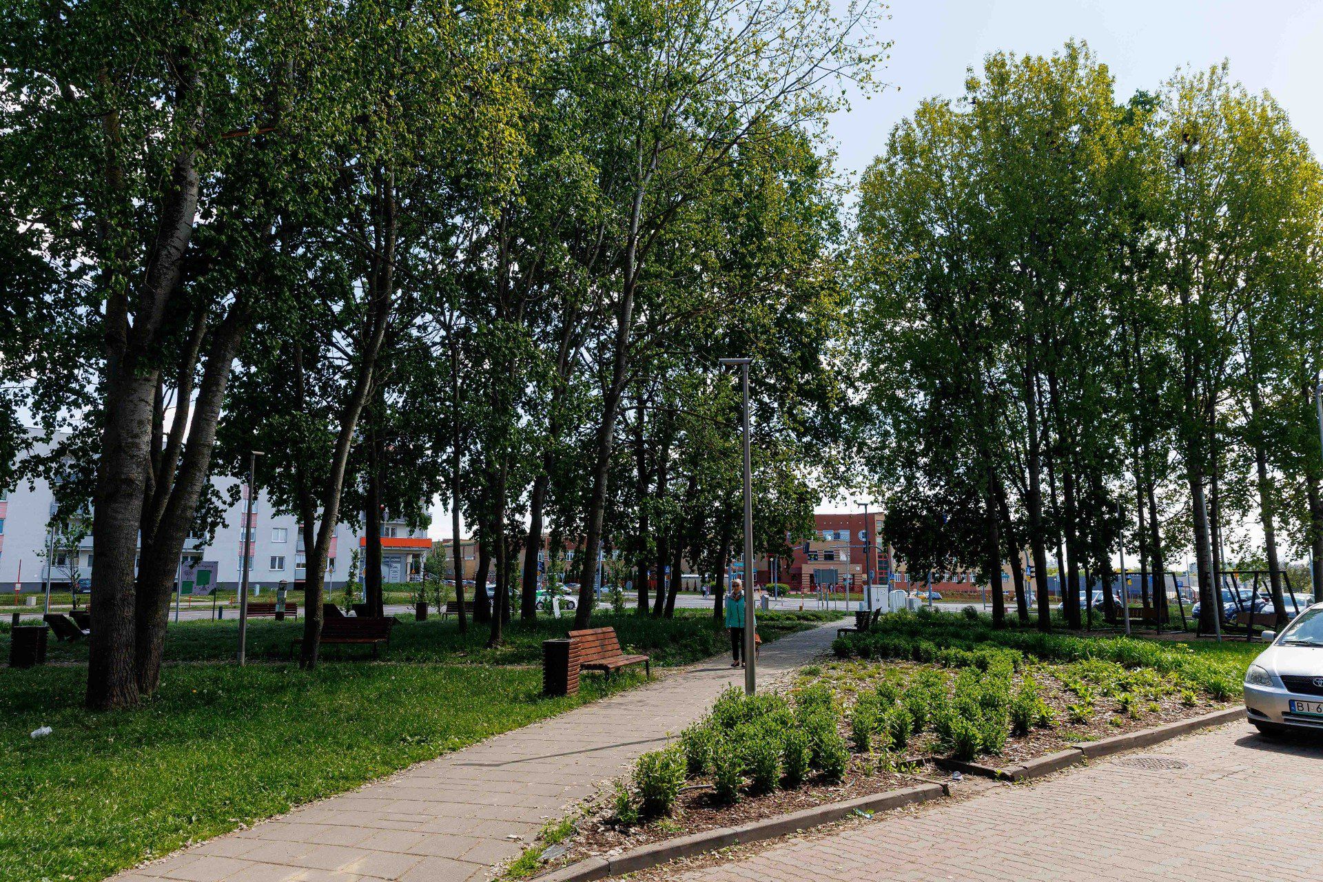 Park lawendowy na rogu ulic Komisji Edukacji Narodowej i Hugona Kołłątaja 