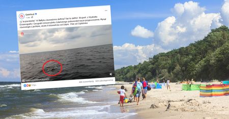 Pływali po Bałtyku. Wyłonił się spod wody. Sensacja