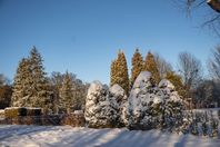 Park Miejski Piła, zima, śnieg, styczeń 2026