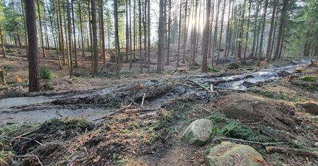 Wycinali drzewa. Zrujnowali górskie trasy dla rowerzystów