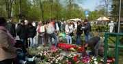 Kiermasz Ogrodniczy "Pamiętajcie o ogrodach" we Wrocławiu na Partynicach przyciągnął tłumy - rośliny, zioła, rękodzieło i regionalne smaki