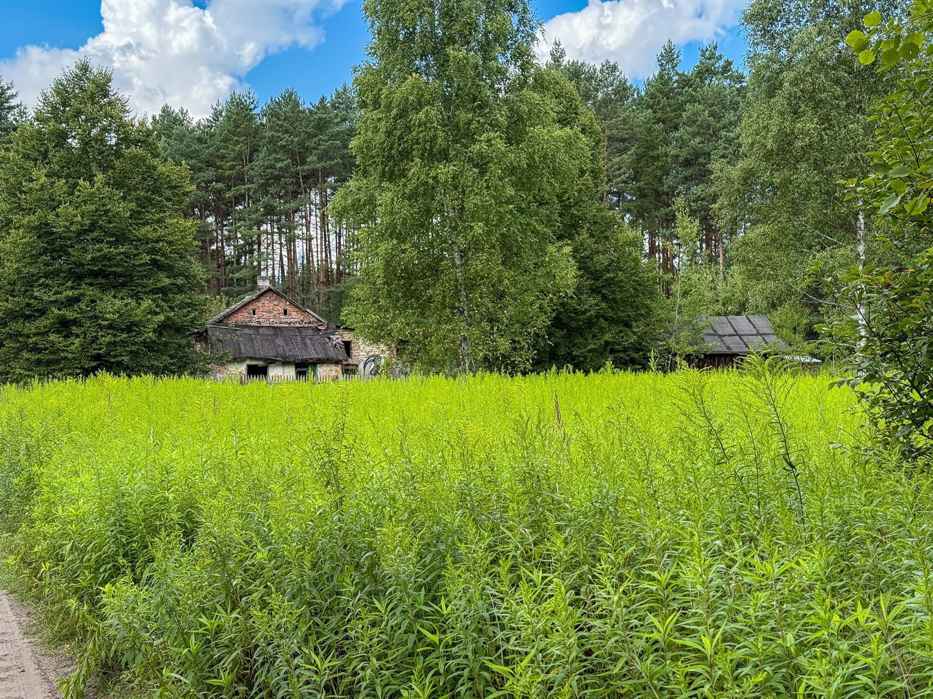 Opuszczony przysiółek Sławkowa - Piernikarka