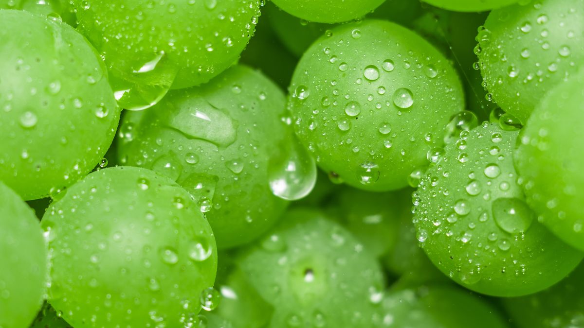 Czy kuracja winogronowa jest bezpieczna?