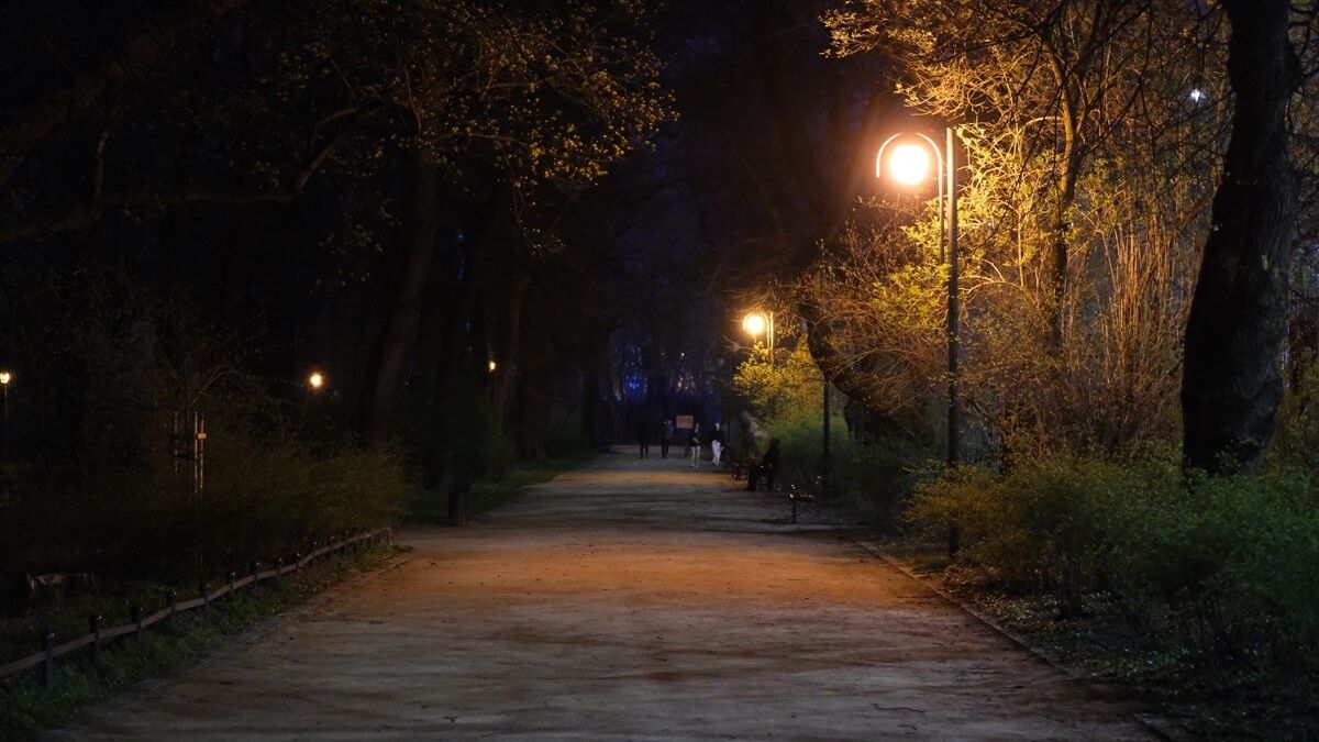 Ogród Saski nocą