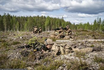 Potencjalny konflikt z Rosją. Tak przygotowują się żołnierze NATO w lasach Finlandii