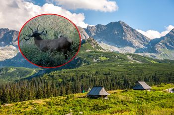 W Tatrach już się zaczęło. Przerażeni turyści dzwonią na numer alarmowy