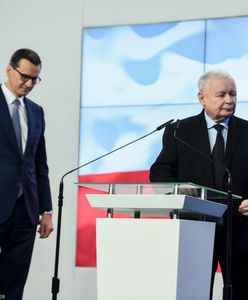 "Rozpaczliwe". Ekspert o projekcie PiS dot. wyborów