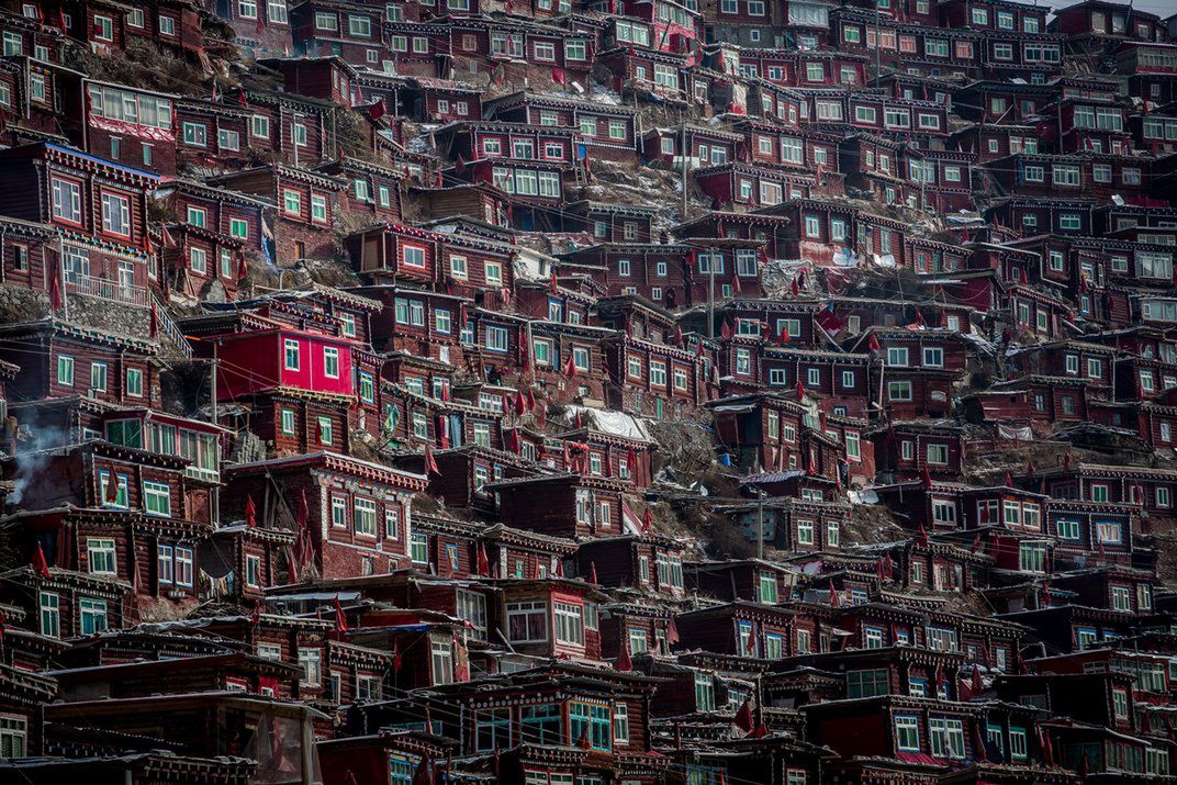 Znamy zwycięzców i finalistów Smithsonian Photo Contest 2015 15