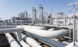 Spadek po Gazpromie w Niemczech idzie pod młotek