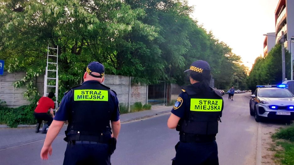 Strażnicy Miejscy wezwani do roju pszczół w Poznaniu